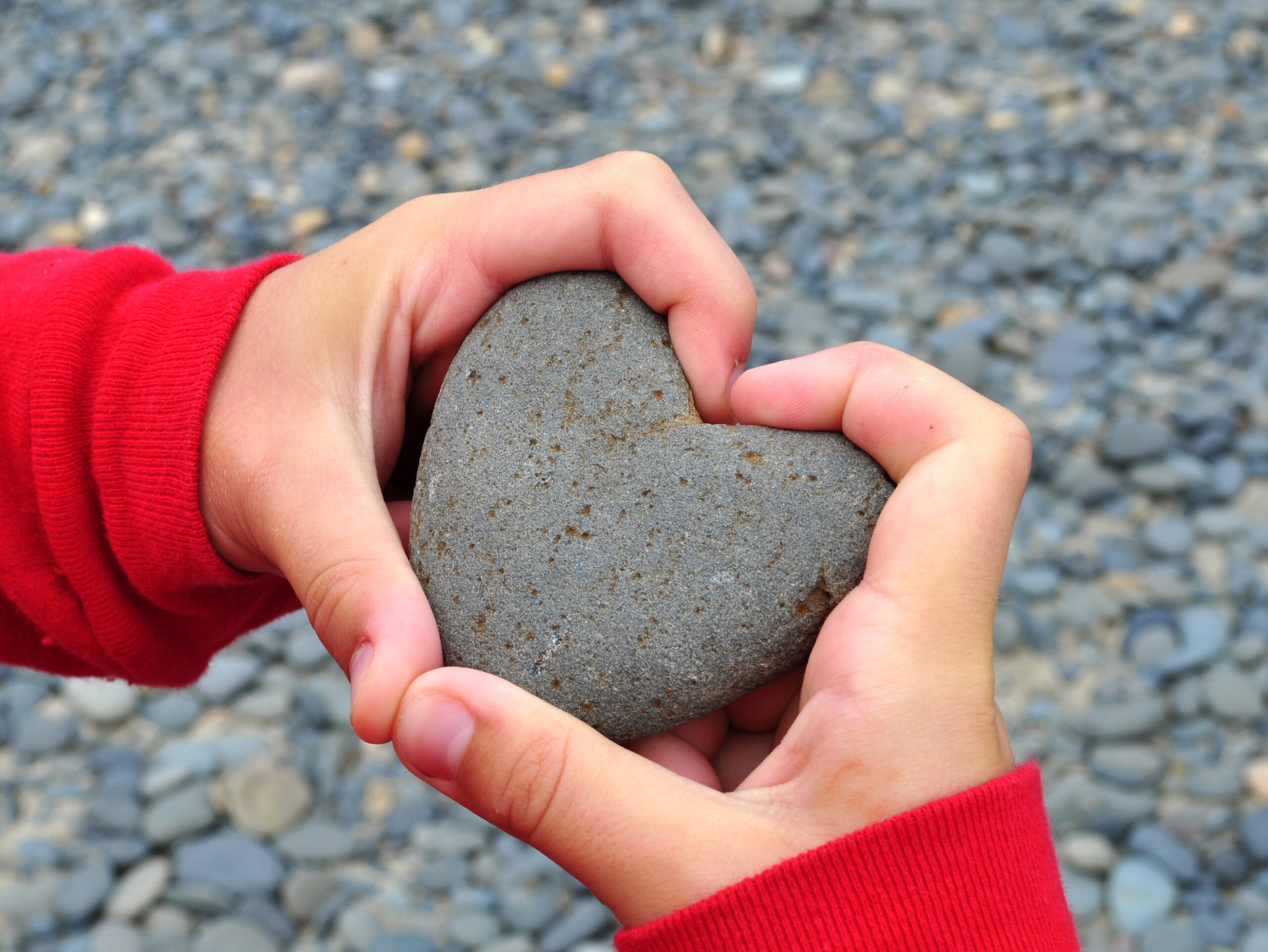 Стало сердце камнем. Каменное сердце. Камень в виде сердца. Камень сердце в руке. Каменное сердце в руке.