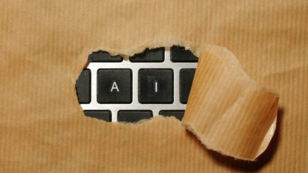 AI Ethics: Feeding the Machine