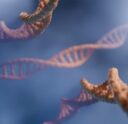 The Ethics of Gene Editing