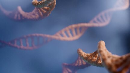 The Ethics of Gene Editing
