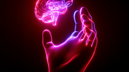 AI Ethics: What Duties Do We Owe a Sentient Digital Mind?